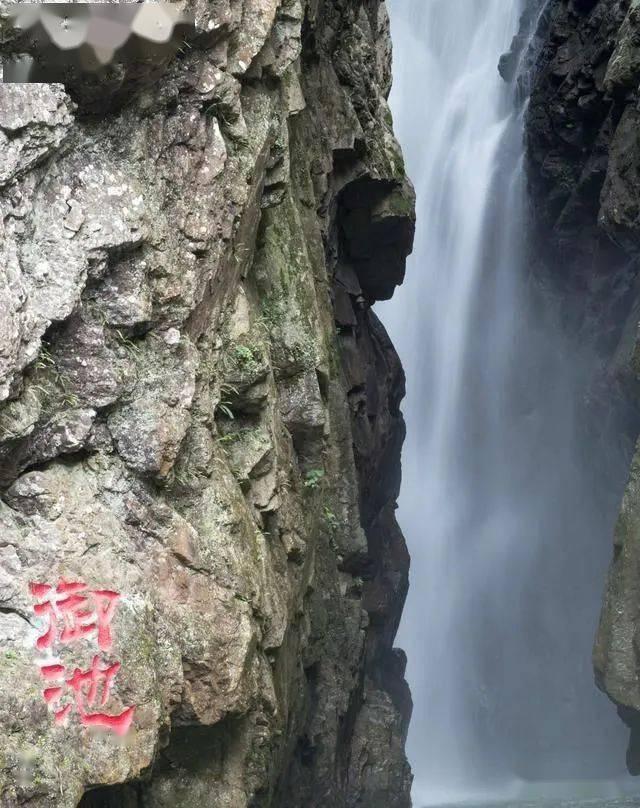 虫虫助手下载